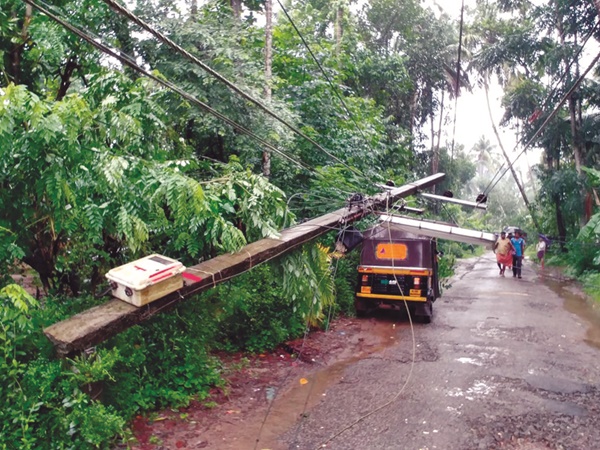 വൈദ്യുതി ബന്ധം നിലച്ചു