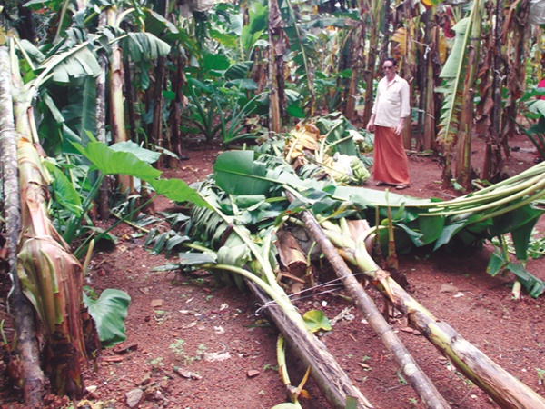തലപ്പിള്ളി താലൂക്കില്