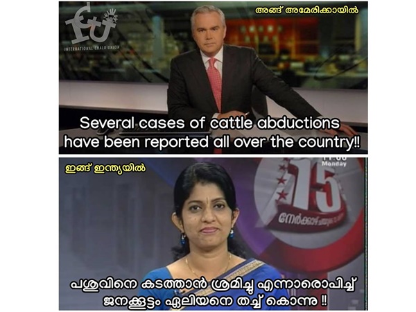 പശു!