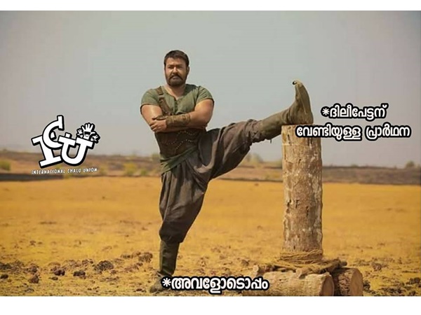 മെയ് വഴക്കം