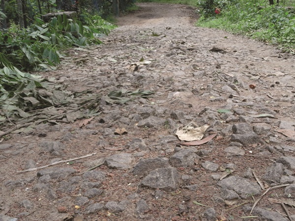 ചിപ്ലിമാട് റോഡ് തകര്ന്നു തന്നെ