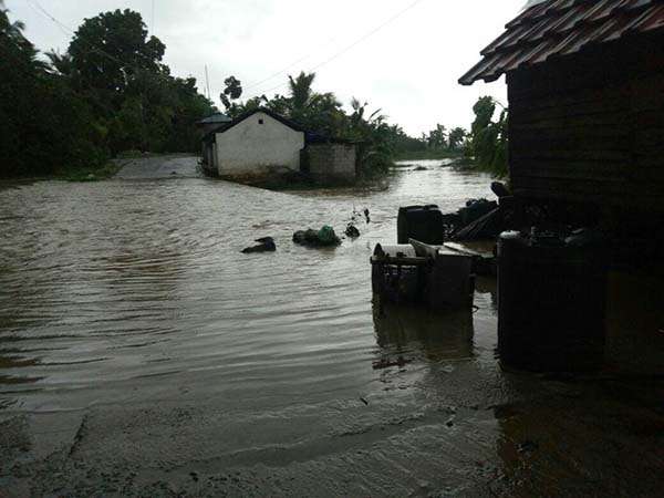 ഫേസ്ബുക്കിലെ കൃമികടിക്കാർ