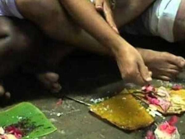 ബലിക്കാക്കകയും പിതൃക്കളും