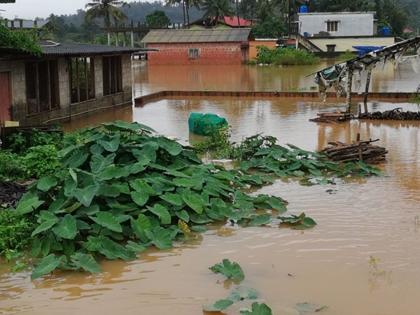 കുടിച്ചത് മഴവെള്ളം