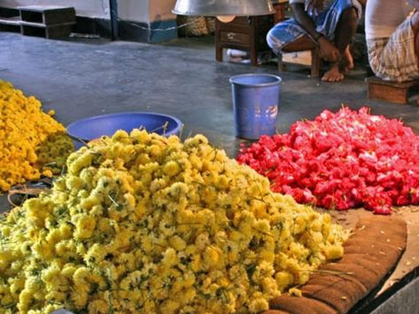 തോവാളയിലെ പൂക്കൃഷി