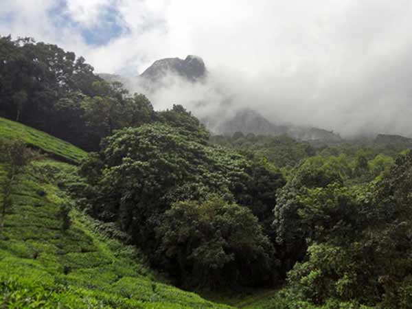 ഗാഡ്ഗില് കമ്മിറ്റി