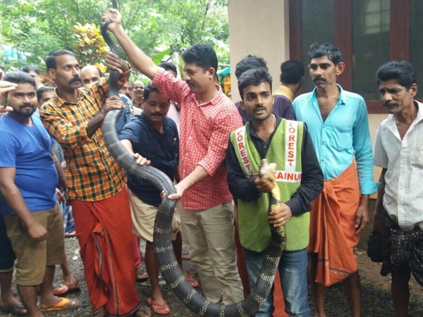 തല്ലിക്കൊല്ലുകയല്ല വേണ്ടത്