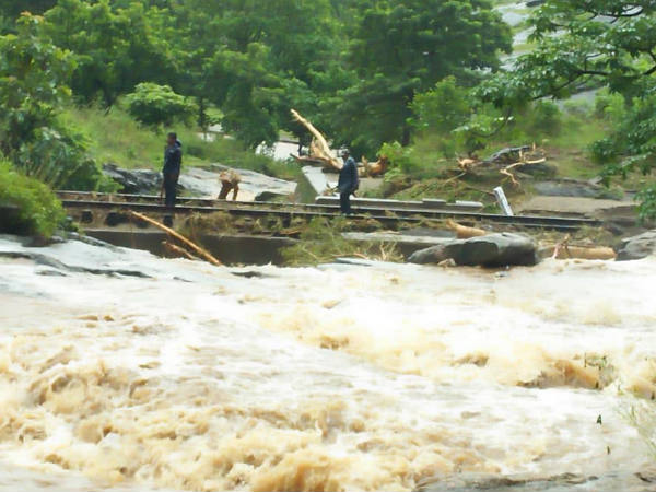 വ്യാപക കൃഷിനാശം