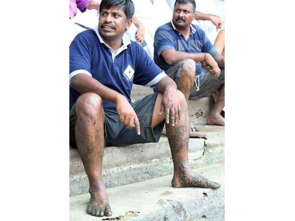 രാജമാണിക്യം
