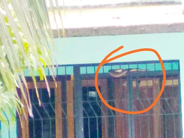 മലപ്പുറം, പാലക്കാട്, ആലപ്പുഴ