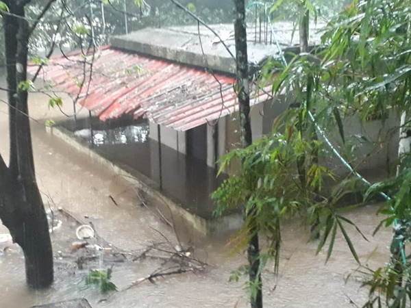 വിദേശ സഹായം വേണ്ട