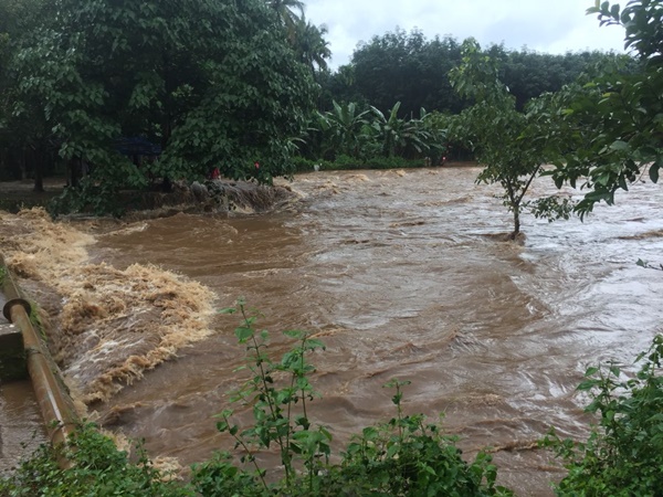 എല്ലാം പെരിയാറിലേക്ക്