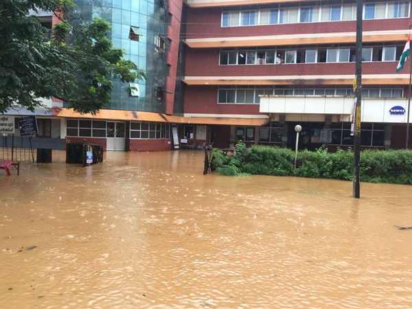 അരനൂറ്റാണ്ടിനിടയില്