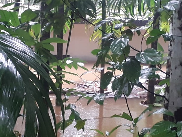 ഷമ്മാസിനെ മറക്കാനാകുമോ