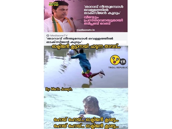 താറാവിന്റെ ഒരു കാര്യം