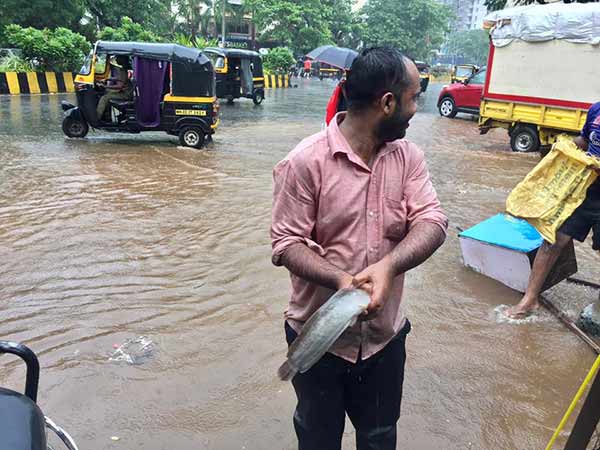 മീനുകളുടെ ചാകര