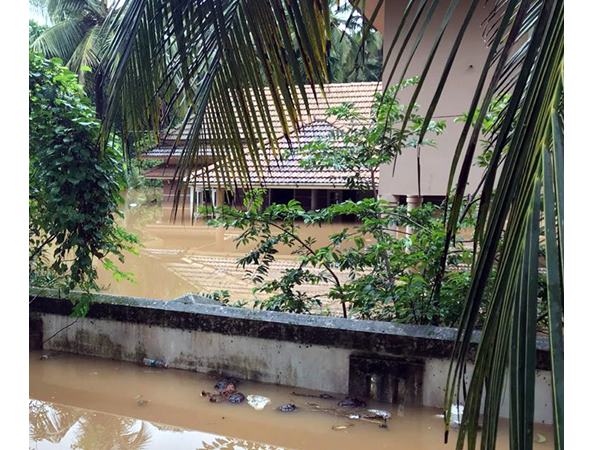 സ്വന്തം വീടുകളിലേക്കു മടങ്ങി