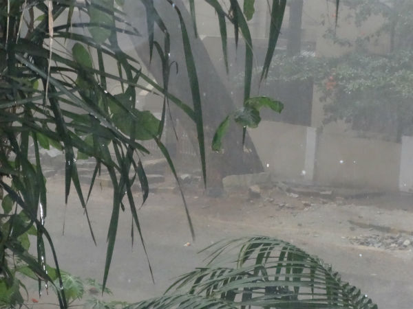 കുറ്റപ്പെടുത്തി എംഎൽഎ