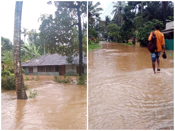 മരങ്ങൾ വീഴുന്നു, മണ്ണിടിച്ചിലും...