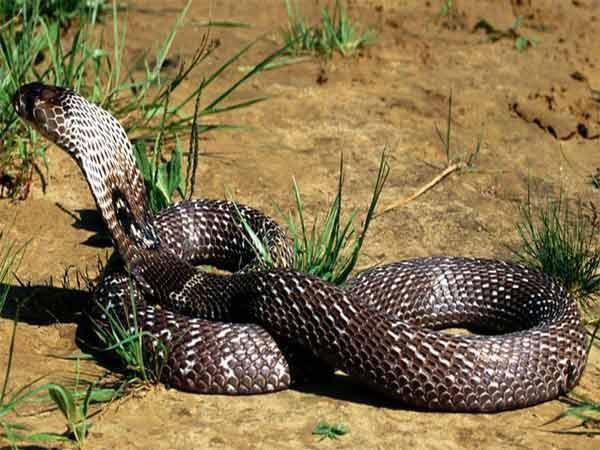 ശ്രദ്ധിക്കേണ്ട കാര്യങ്ങള്