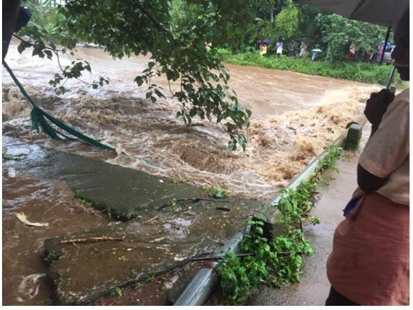 വയനാട്
