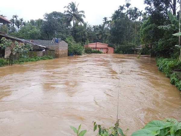 എങ്ങും കനത്ത മഴ