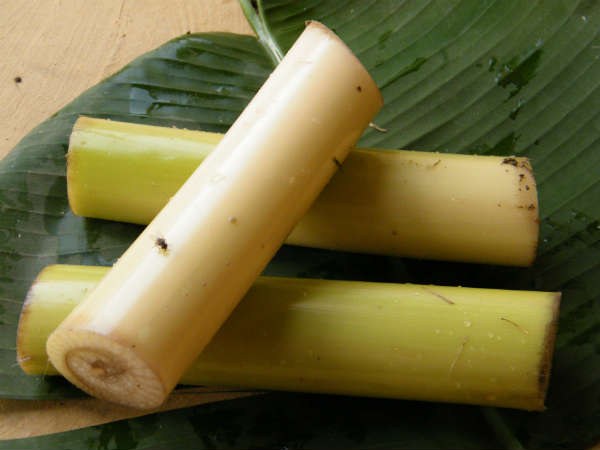 വാഴപ്പിണ്ടി ചെറുപയര്തോരന്