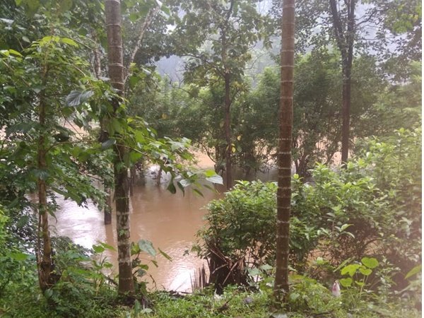 അടയ്ക്കാകുണ്ടില് വെള്ളപ്പൊക്കം, വ്യാപക കൃഷിനാശം