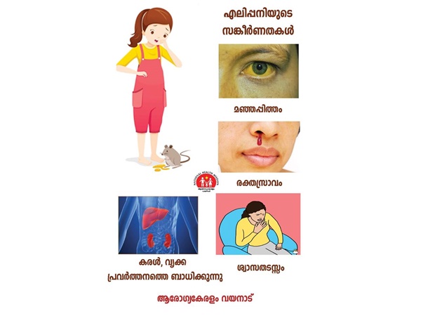 കൂടുതൽ എലിപ്പനി പടരാൻ സാധ്യത