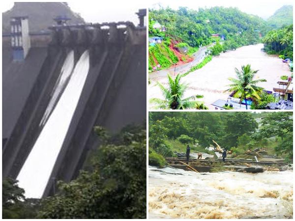 പാടില്ല