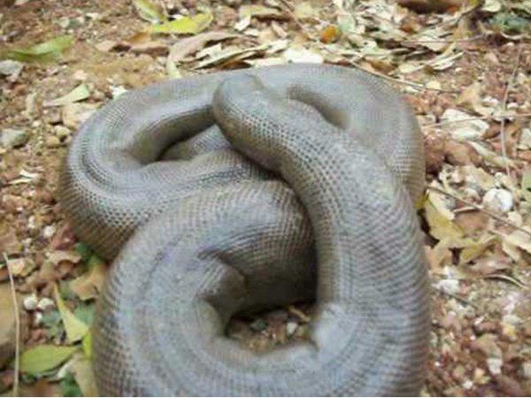 ആശങ്ക
