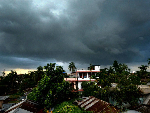 ശുപാര്ശകള് നിരവധി