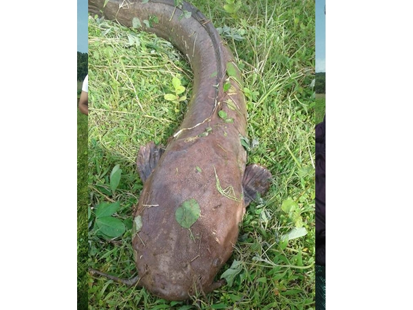 ആശങ്ക