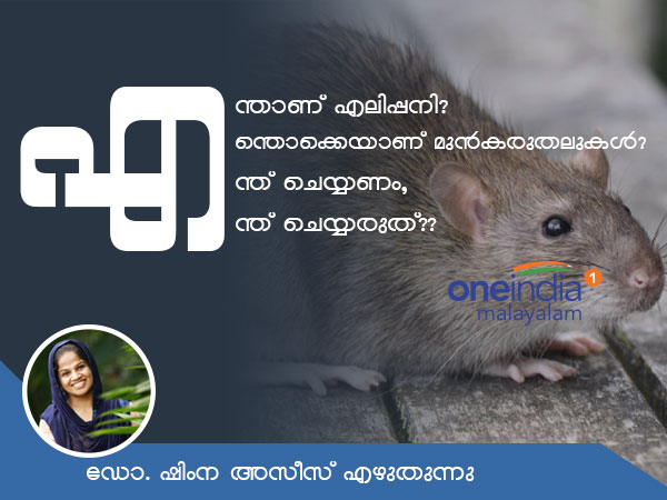 പനി പരത്തുന്നത് എലി മാത്രമല്ല
