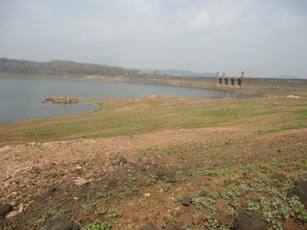 പഠനം നടത്തും