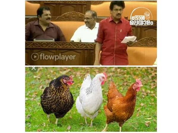 ഇതെന്ത് കോഴിക്കടയോ