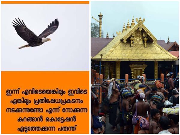 കൃഷ്ണപ്പരുന്തുകള് വട്ടമിട്ട് പറന്നു