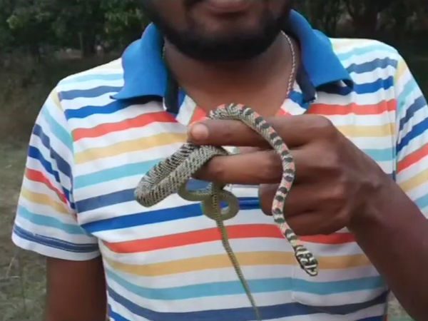 വിഷം ഏല്ക്കുന്നത്