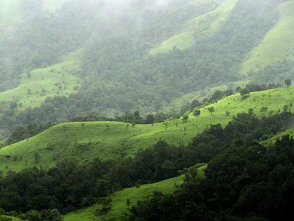 പശ്ചിമഘട്ട മലനിരകളില്
