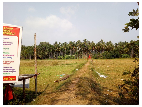 അവശേഷിക്കുന്ന നെൽവയലുകൾ