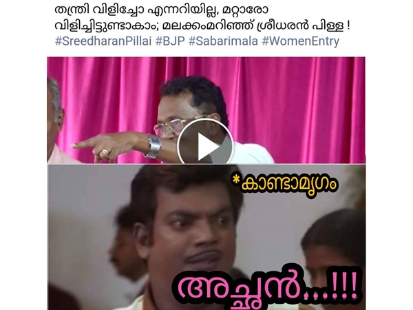 കണ്ടാമൃഗം മാറിനില്ക്കും
