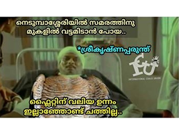 പാവം പരുന്ത്