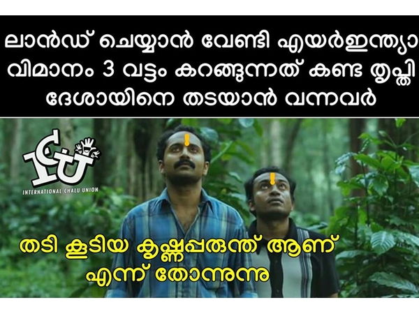 തടി കൂടിയ പരുന്തായിരിക്കും