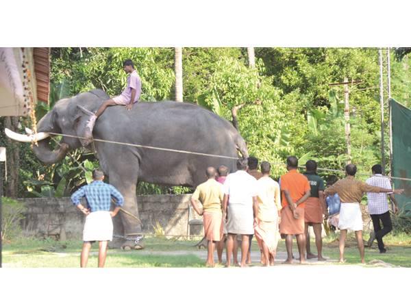 ഇടഞ്ഞത് പാര്ത്ഥസാരഥി