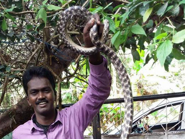 ധീരതയെ പ്രശംസിക്കുന്നത്