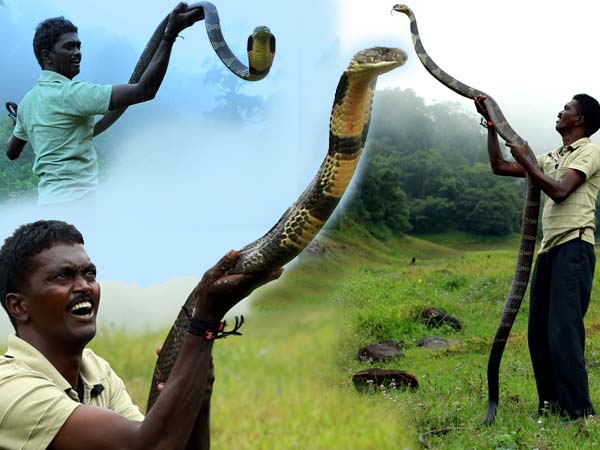 സാഹസം
