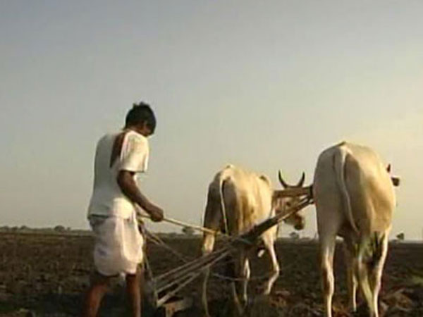 കൃഷിയോഗ്യമല്ല