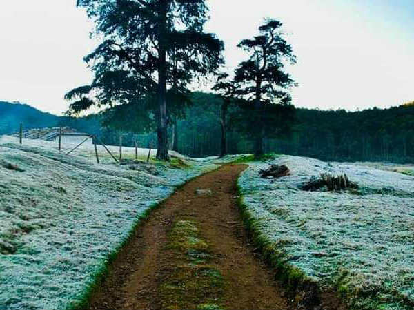 സോഷ്യൽ മീഡിയ പ്രചാരണം