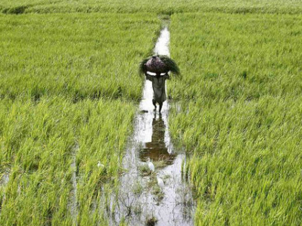 എല്ലാവര്ക്കും ഇല്ല
