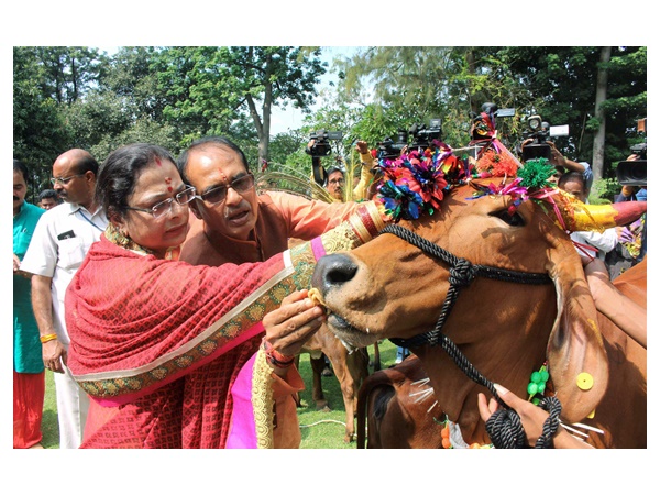 ചൗഹാന്റെ ഭാര്യ സാധന